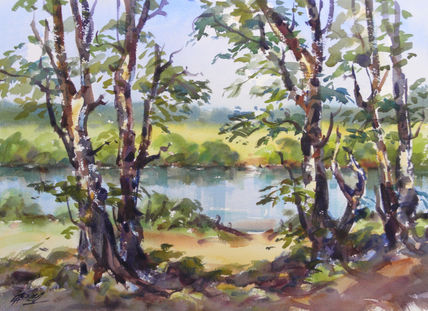 Mirando el rio