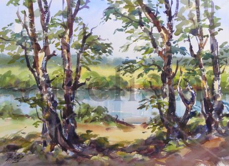 Mirando el rio