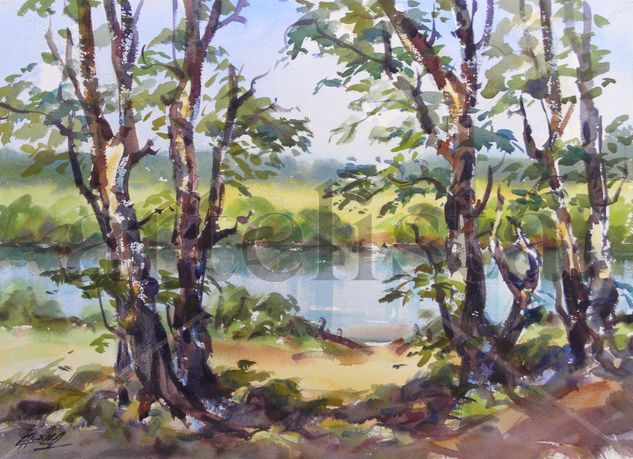 Mirando el rio Watercolour Paper Landscaping