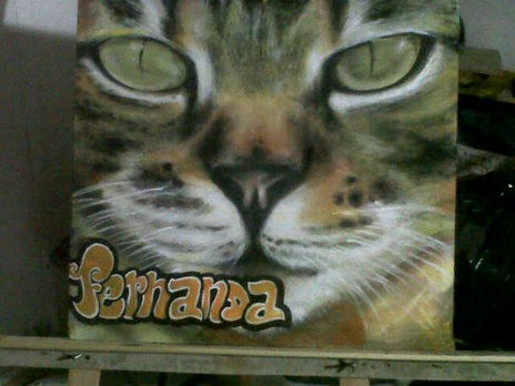 Pona