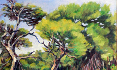 Bosque El Saler