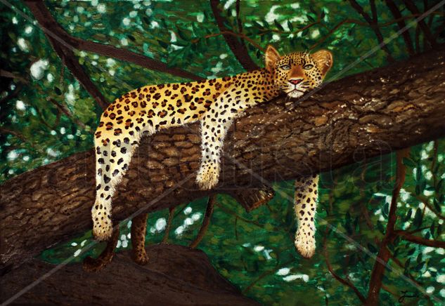 Leopardo en un árbol Oil Canvas Animals