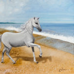 Animales thumbnail 1