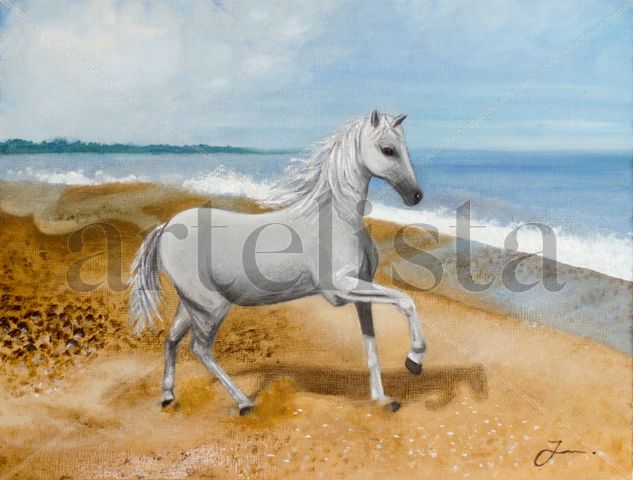 Caballo blanco en la playa Oil Panel Animals