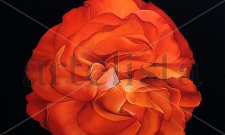 Pinturas