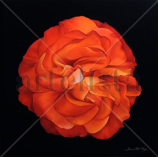 Rosa Oil Canvas Floral Painting