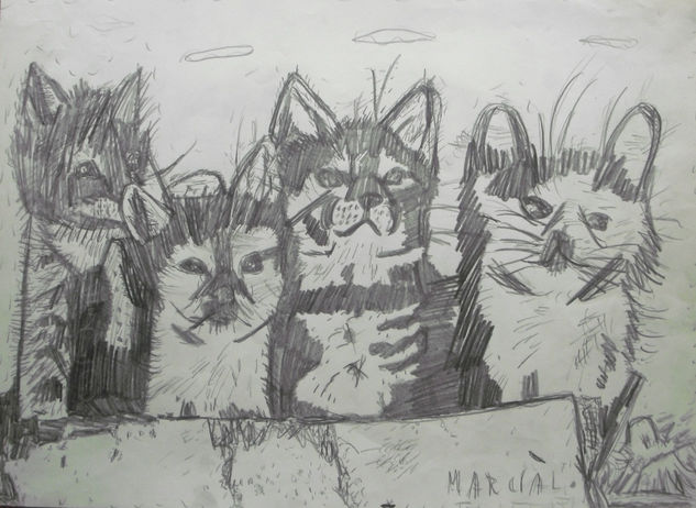 PERROS GATOS Pencil