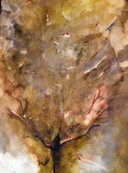 Anatomía 4