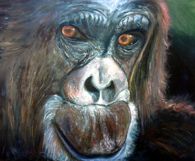 CURIOSO Oil Canvas Animals