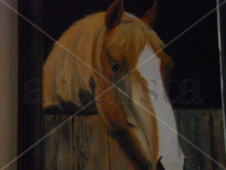 Mi caballo gringo.