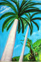 tropico
