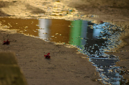 Un reflejo de...
