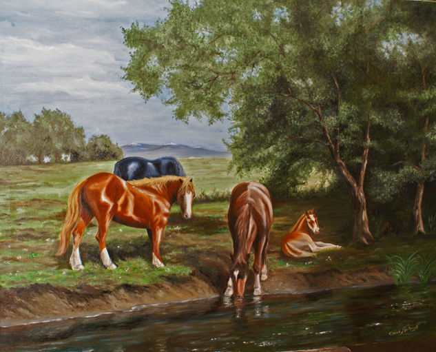 Caballos en el rio Oil Canvas Animals