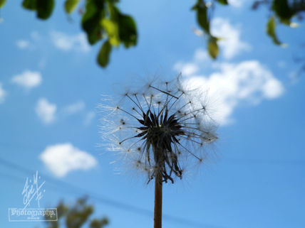 "belleza que...