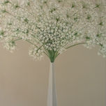 Con Flores en el Alma thumbnail 2