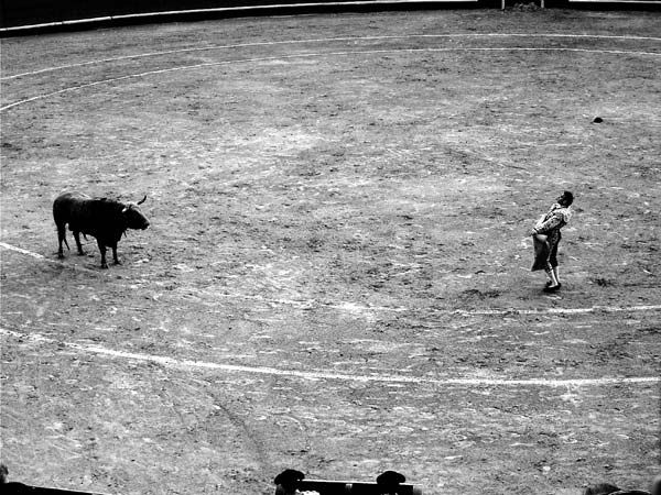 s/t Otras temáticas Blanco y Negro (Digital)