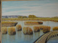 Tablas de Daimiel