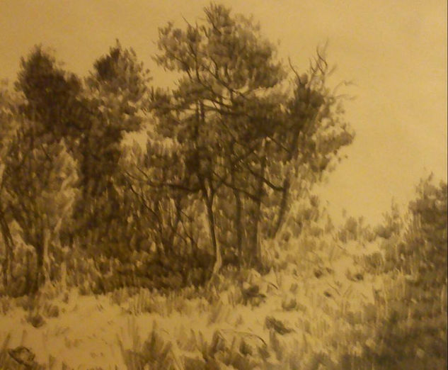 Paisaje arboreo Charcoal