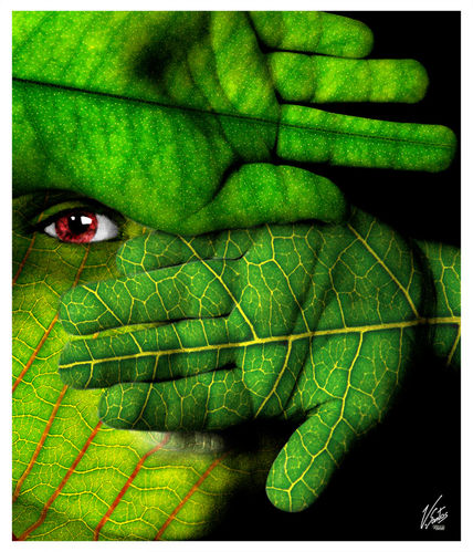 Verde - 2
