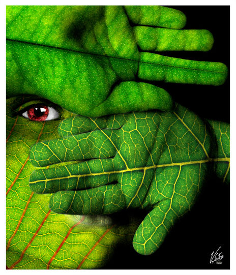 Verde - 2