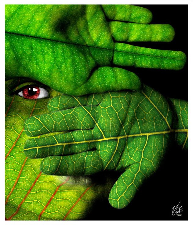 verde - 2