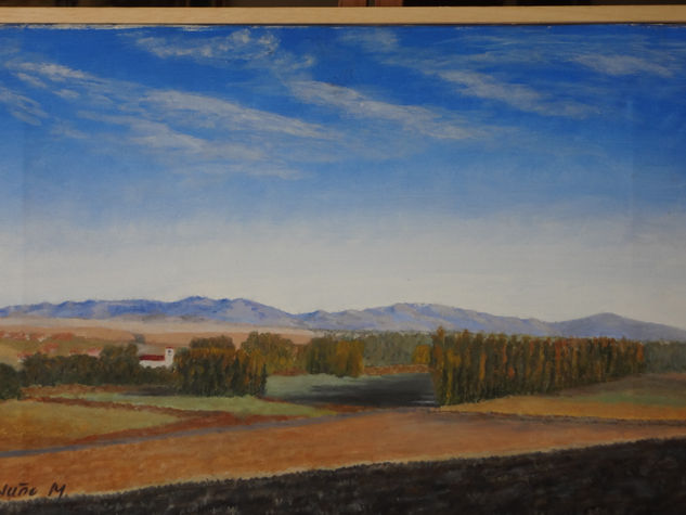 Riaguas desde el Norte Oil Canvas Landscaping