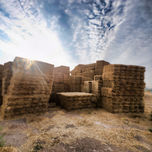 Paisaje de La Mancha thumbnail 2