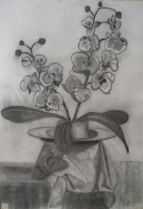 Orquideas