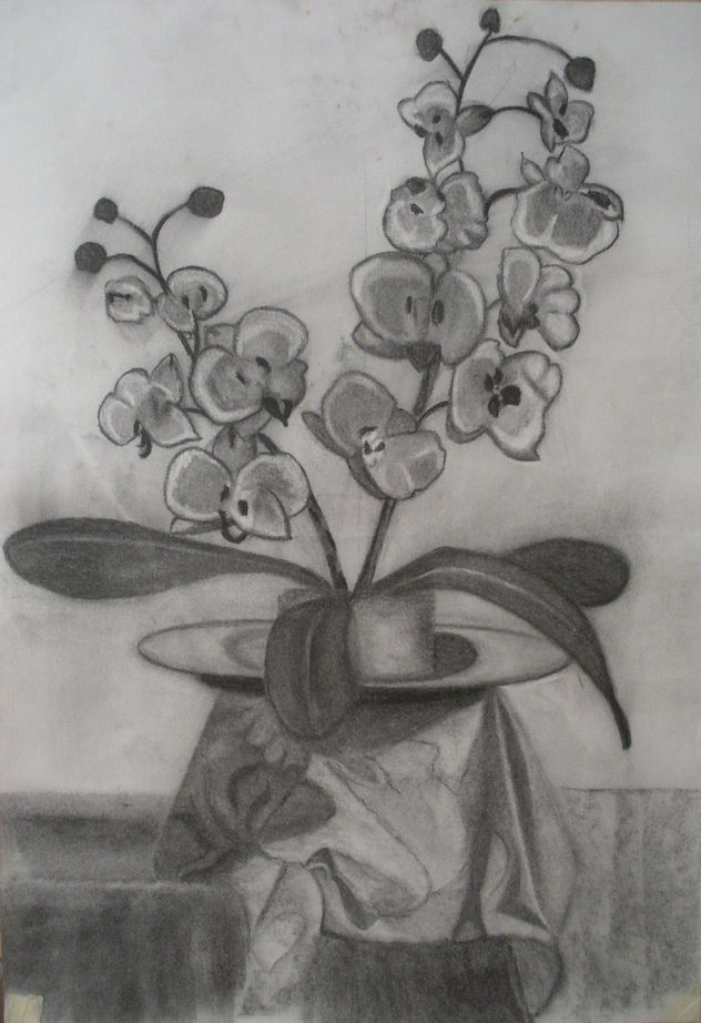 Orquideas