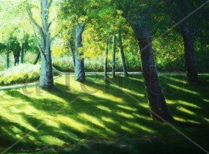 PARQUE "EL RETIRO" DE MADRID Oil Canvas Landscaping