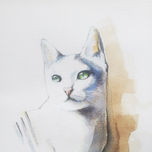 "Caturday" Cats. thumbnail 1