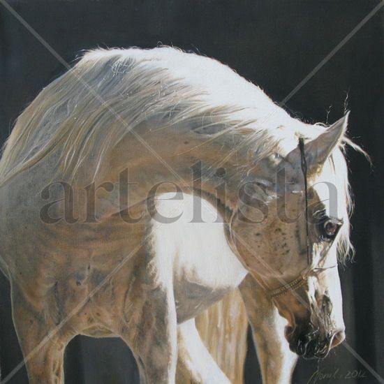 Retrato de caballo árabe Óleo Lienzo Animales