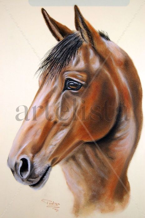 Caballo castaño