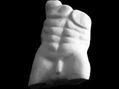 Torso Masculino