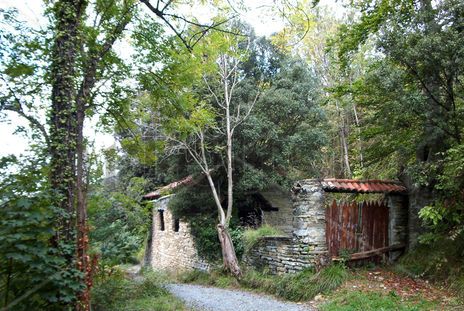 Chabola