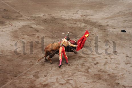 Toreo de muleta