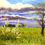 POSTALES ARGENTINAS thumbnail 1