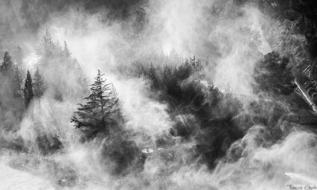 La niebla Naturaleza Blanco y Negro (Digital)