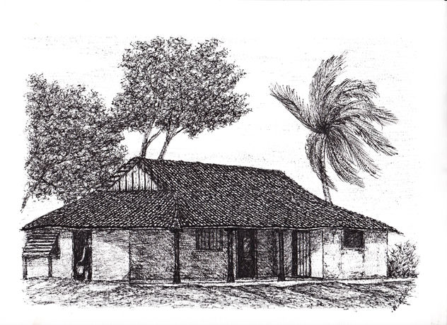 potosi 5