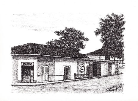 Rivas 8