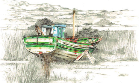 barcos