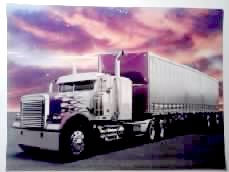 CAMION (JAVI)