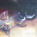 gatos thumbnail 2