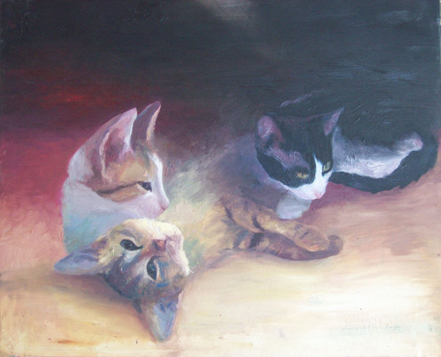 Gatos Oil Canvas Animals