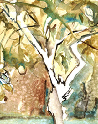 arbol