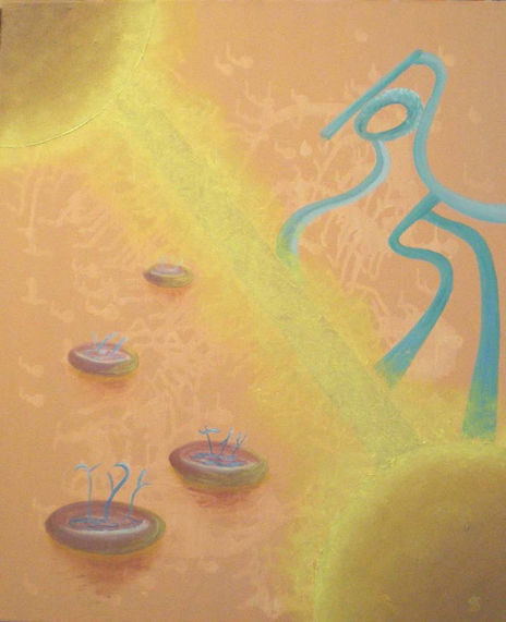 Luz y Vida