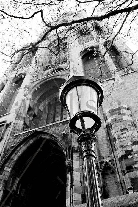 De Dom