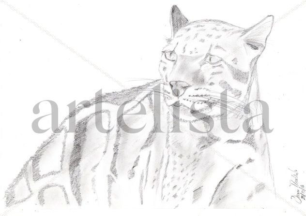 Leopardo Nublado