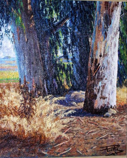 MANCHA DE EUCALIPTUS Oil Canvas Landscaping