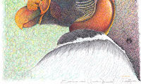 Mitología Mexicana A0